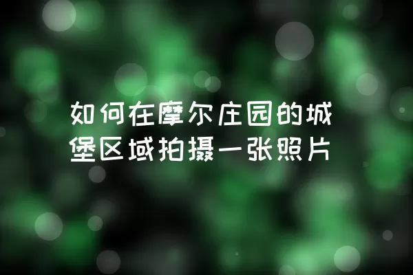 如何在摩尔庄园的城堡区域拍摄一张照片