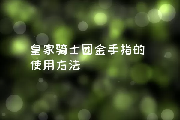 皇家骑士团金手指的使用方法