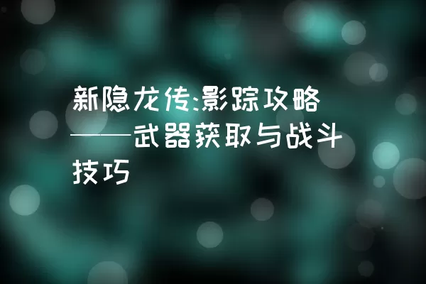 新隐龙传:影踪攻略——武器获取与战斗技巧