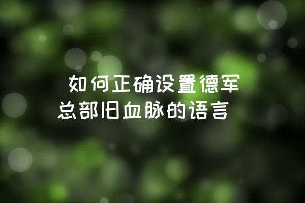  如何正确设置德军总部旧血脉的语言